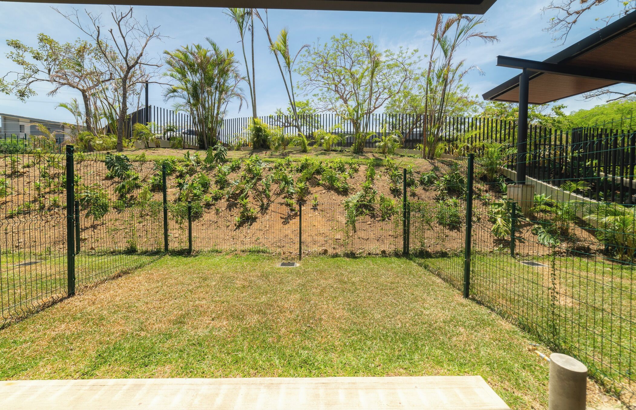 A fenced outdoor area with a grassy lawn and a variety of plants and trees.