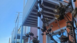 Une rangée de bâtiments modernes dotés de balcons, avec un ciel dégagé.