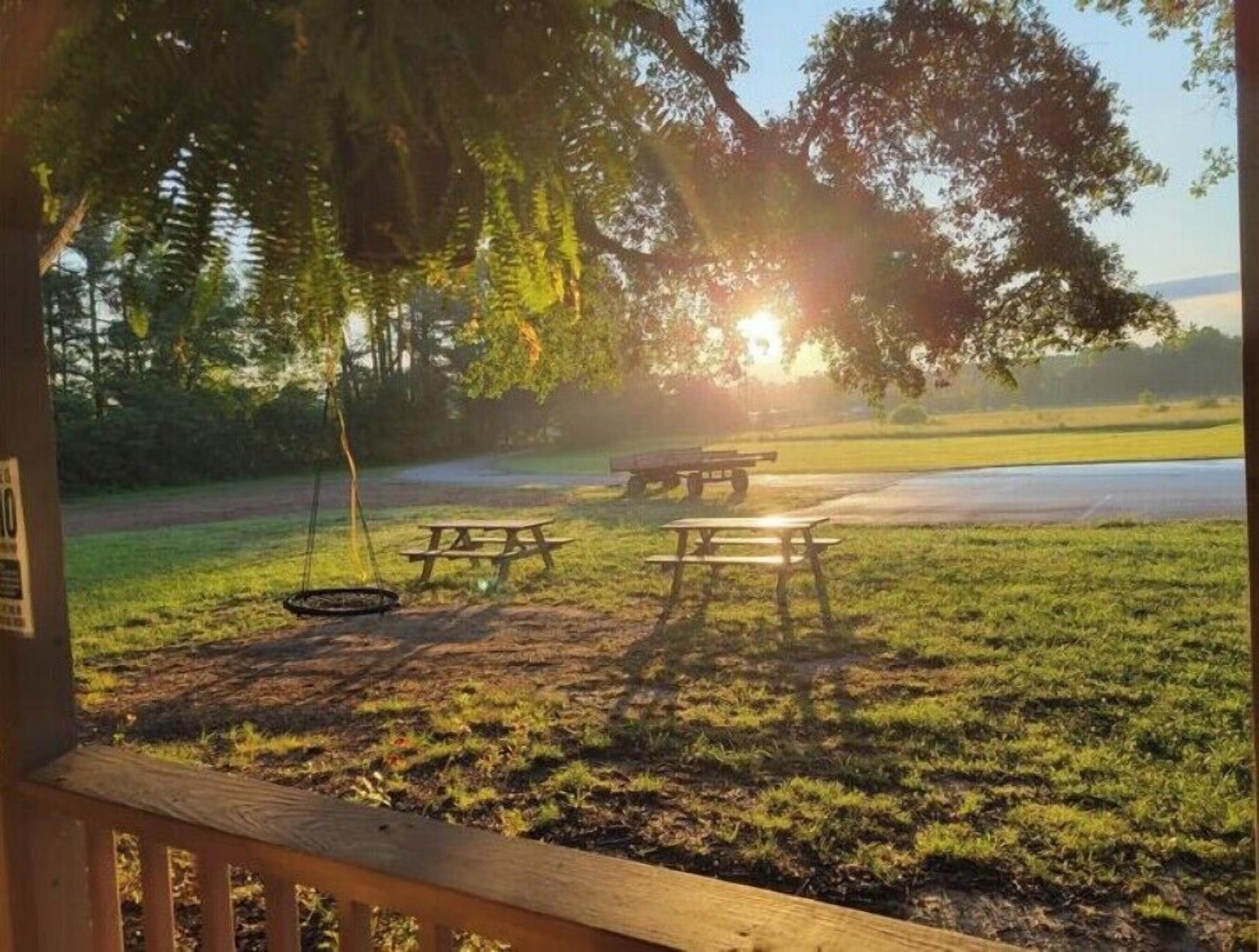 Un parque con mesas de picnic y un columpio.