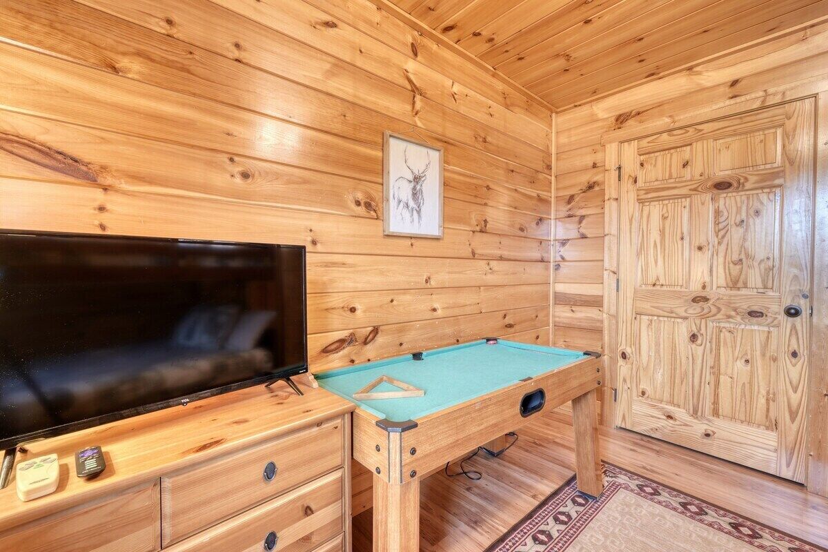 A wooden-paneled room with a pool table, a television, and a door.