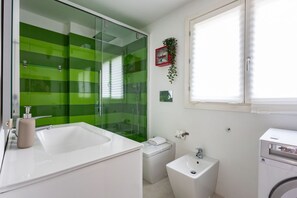 Shower, hair dryer, bidet, towels