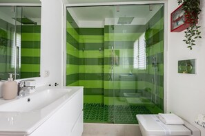 Shower, hair dryer, bidet, towels