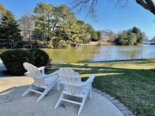 Appart'hôtel, 1 grand lit et 1 canapé-lit, patio, vue piscine | Vue de la chambre