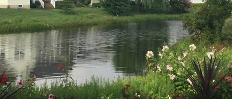 House, Multiple Beds, Patio | Water view