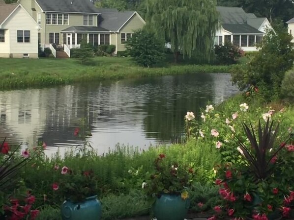 Hus - flera sängar - uteplats | Utsikt mot vattnet