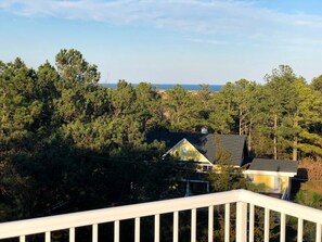 House, Multiple Beds, Patio | View from room - Cardinal Lane 15 (Rehoboth Beach)