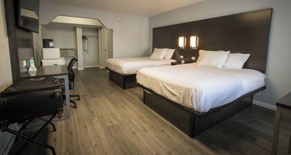 2 Queen No Smoking No Pet