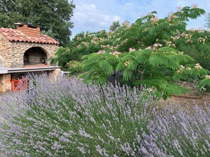 Property grounds - Entire villa in quiet location near the krka waterfalls unesco heritage site (Gorice)