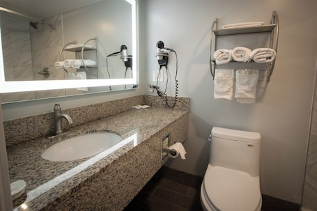 Shower, hair dryer, towels. King Bed No Smoking , No Pet