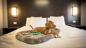 A hotel room with a large bed, a dog bed, and two wall-mounted light fixtures. - King Accessible Non-Smoking Pet Friendly (Henderson)