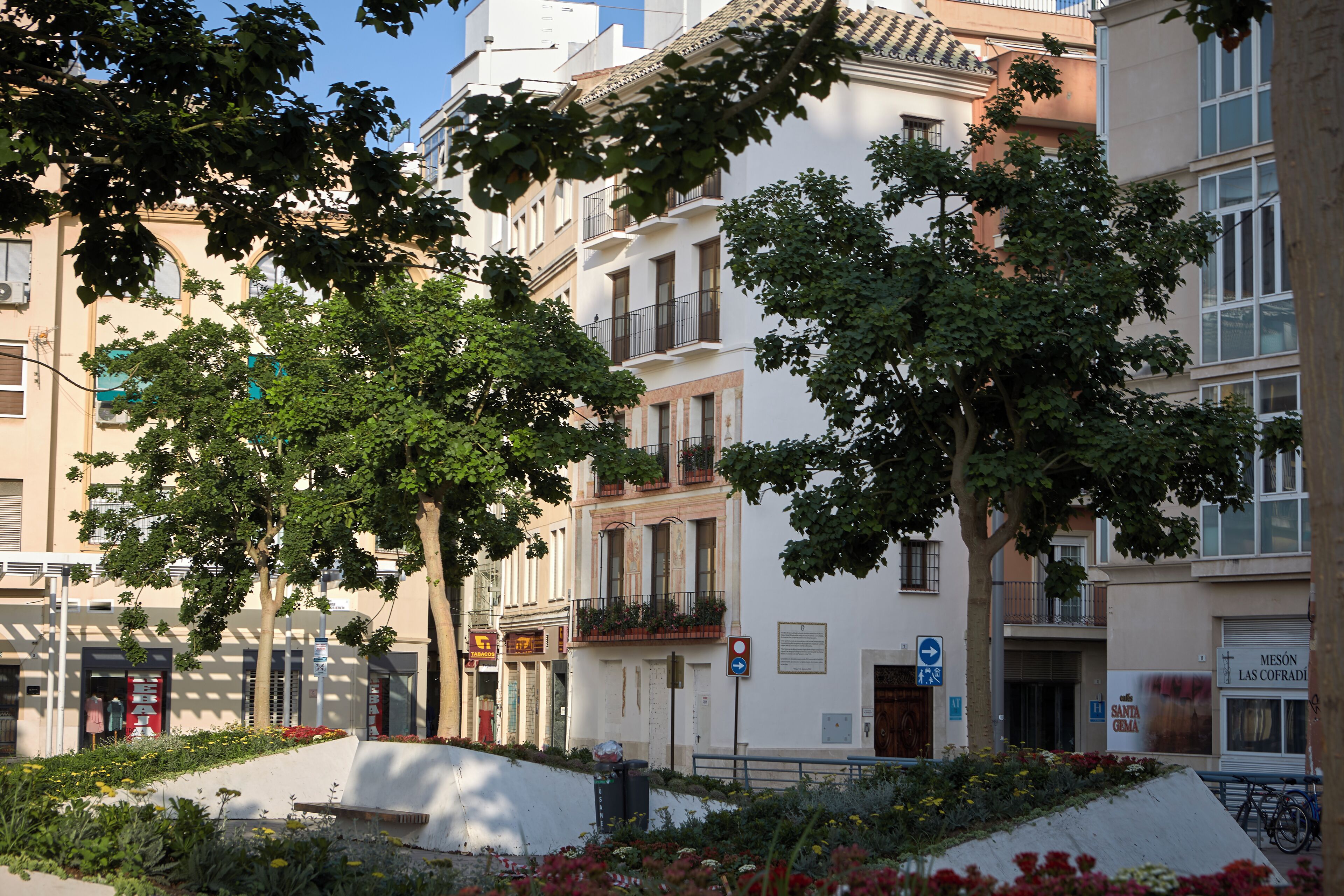 A street view with buildings, trees, and a sidewalk.