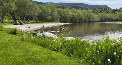 2 bedroom amazing home in Agdenes