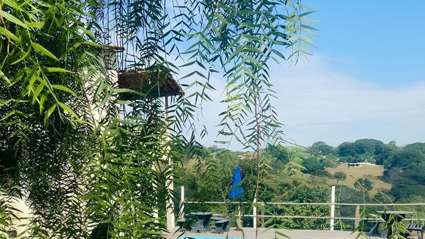 A pool area with a fountain, surrounded by lush greenery and a view of hills in the background.
