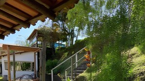 A covered outdoor area with a wooden pergola, a staircase leading up a grassy slope, and a small table with a plant.