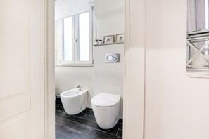 Ducha, secador de pelo y bidé