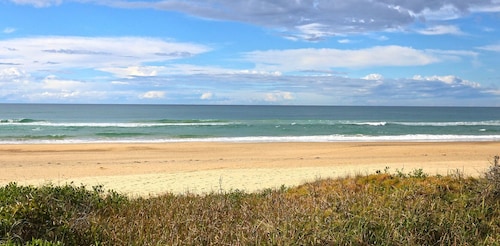 Bougainvillea - just across the street from the ocean