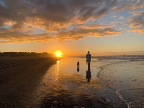 On the beach - Boutique oceanfront accommodation (Waiotahe)