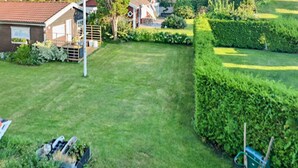 A well-maintained lawn with a hedge, a garden shed, and a green wheelbarrow. - Amazing home in Särö with WiFi (Särö)