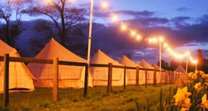 Spacious Bell Tent Nestled in Our Orchard Field at Edinburgh Festival Glamping!