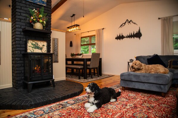 Living area - Wild Stone Cottage - Amazing Design, Game Rm, Beach (Moultonborough)
