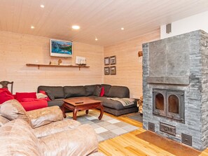 TV, DVD player - Vacation home Jauli by Interhome (Ikaalinen)