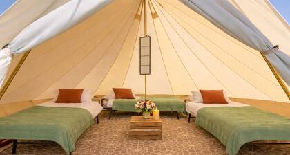 Edinburgh Festival Glamping - Royal Retreat