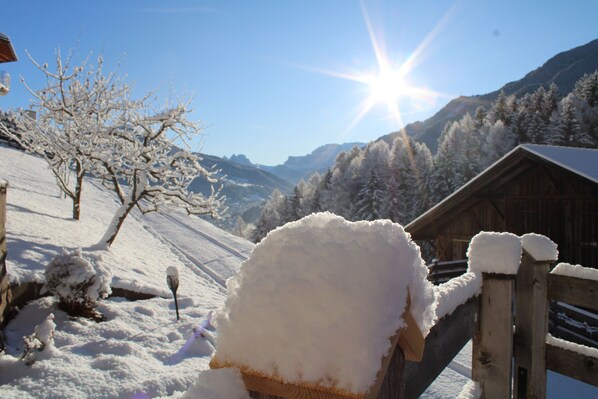 Property grounds - Apartment 'Untertalhof Fewo Berganemone' with Mountain View, Shared Garden and Wi-Fi (CASTELROTTO)