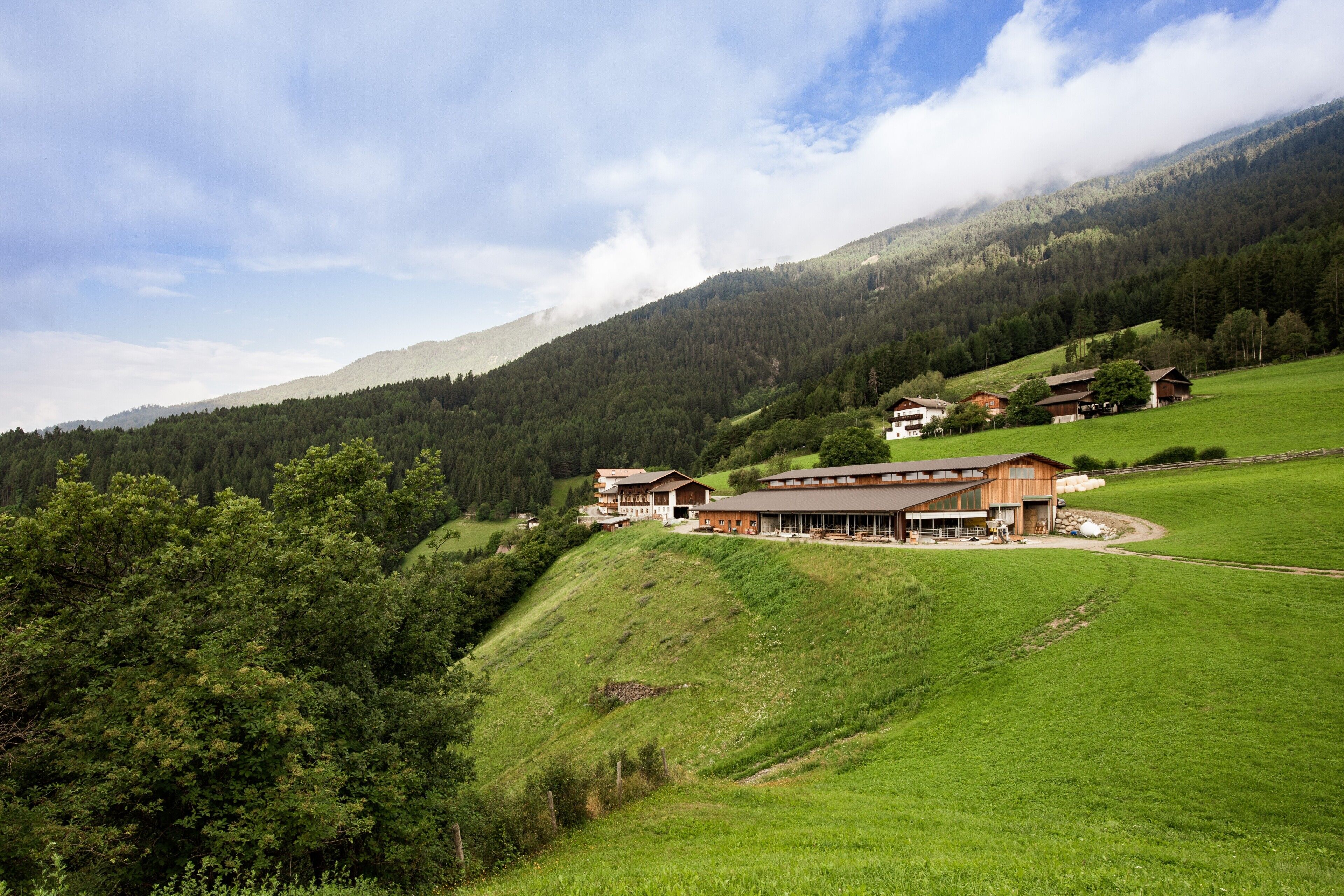 Esterni
