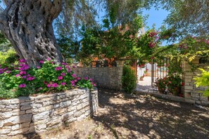 Áreas de la propiedad