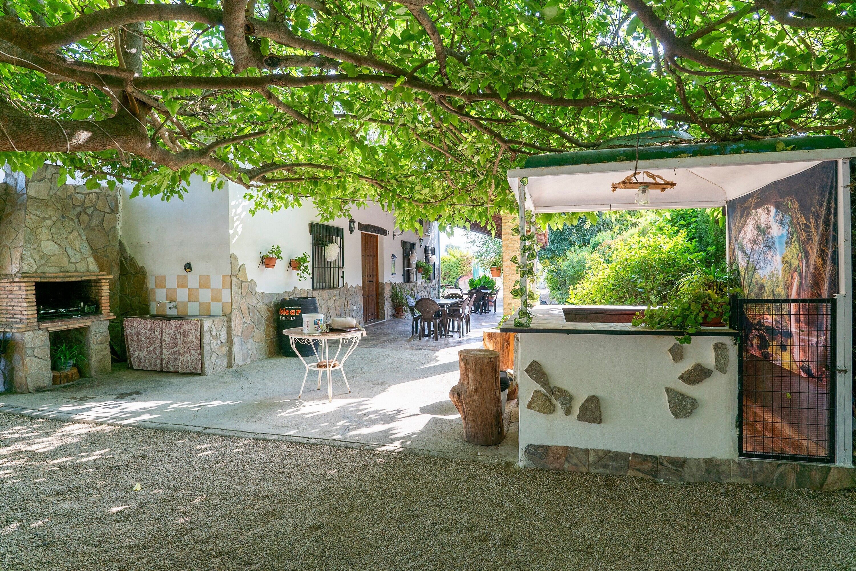 Restauration en plein air