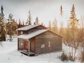 Kaksikerroksinen hirsihökkelö, jonka katto on tehty metallista, ja jonka ympärillä on metsä.