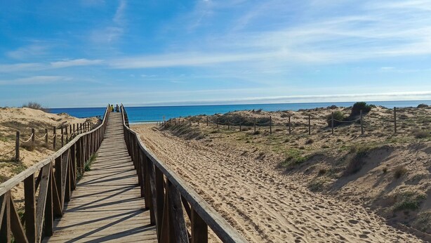Een houten looppad dat naar een strand leidt, met duinen en een helderblauwe lucht.