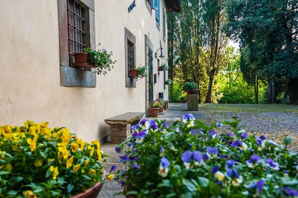 A building with a stone bench, potted plants, and a pathway leading to a garden.