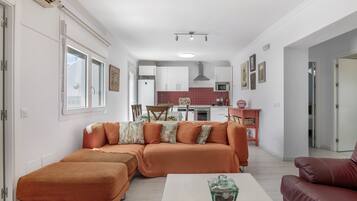 TV, fireplace, DVD player