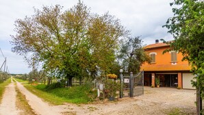 A rural road leading to a building with a brick facade and a tiled roof. - Room 'Corbezzolo' with Shared Garden and Wi-Fi (Grosseto)