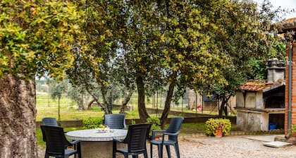 Room 'Corbezzolo' with Shared Garden and Wi-Fi