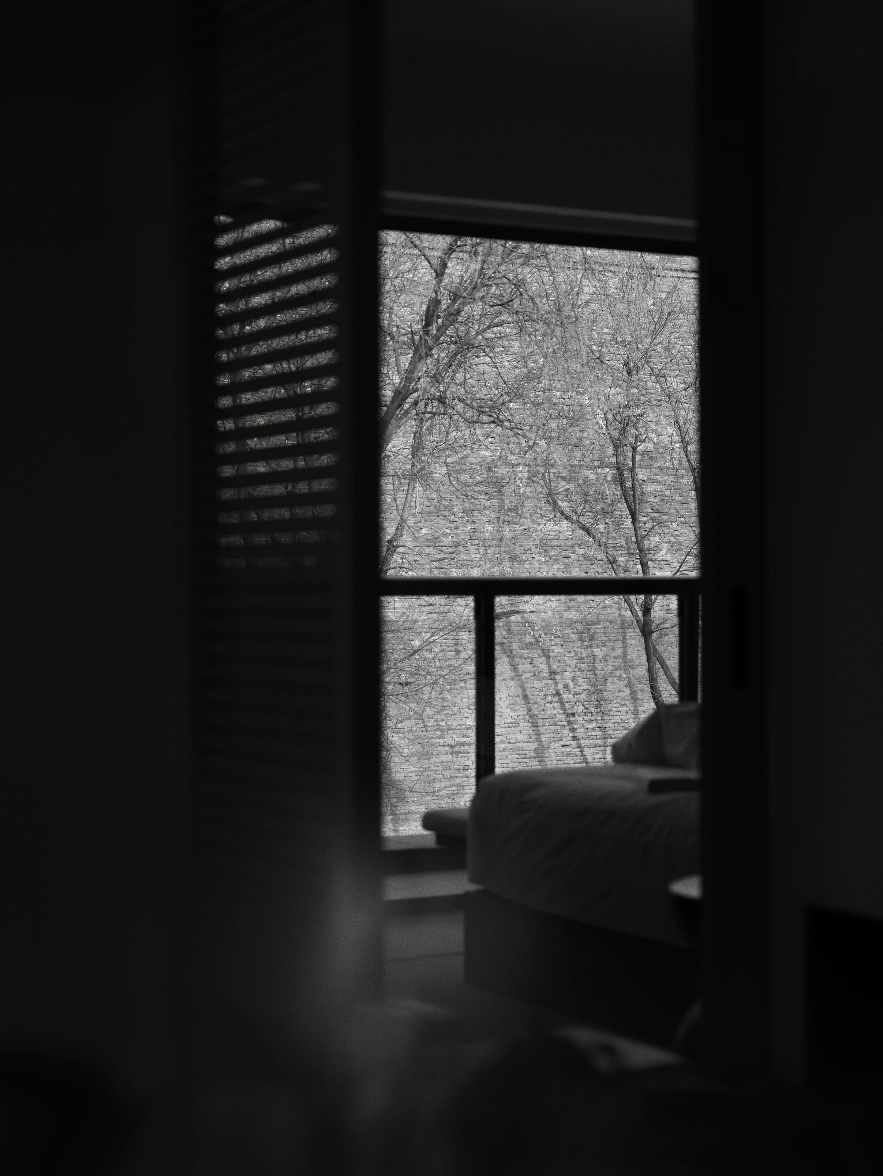 A dimly lit room with a large window overlooking a brick wall and bare trees, suggesting a quiet, possibly urban setting.