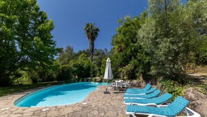 Ein Schwimmbecken mit Steinfliesen, umgeben von Bäumen und einer Palme, mit Liegestühlen und einem Sonnenschirm.