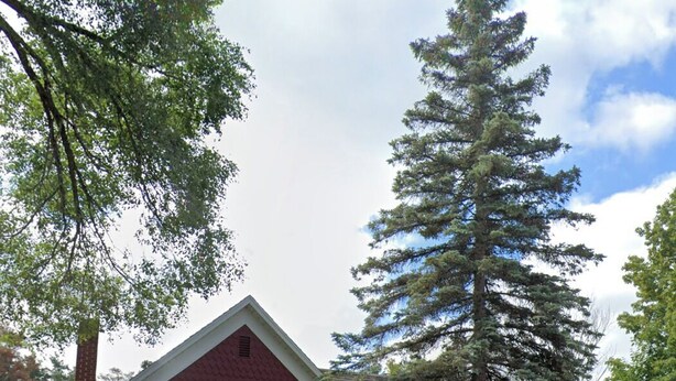 Ein eingeschossiges Haus mit rotem Dach, weißer Fassade und einem großen immergrünen Baum davor.