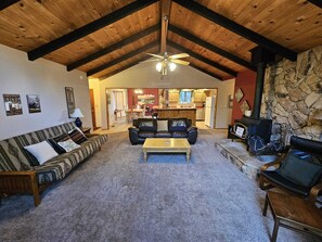 Smart TV, fireplace, books