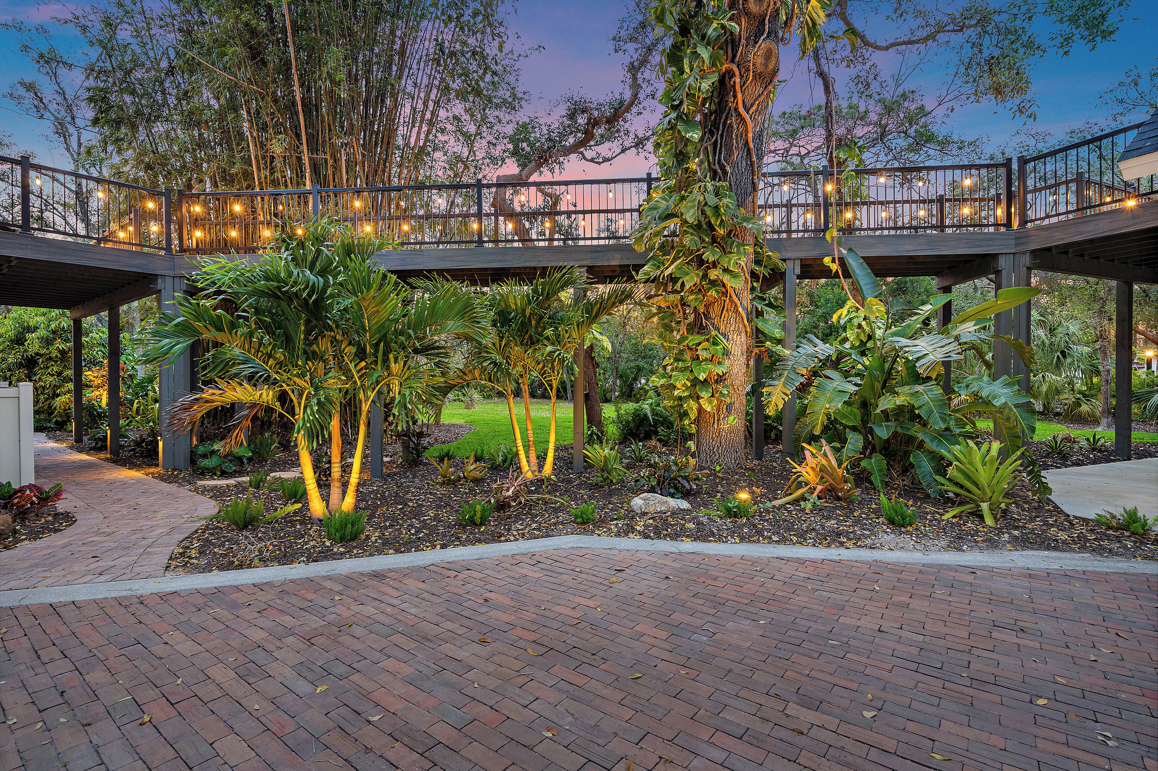 A garden with a wooden deck, surrounded by various plants and trees.