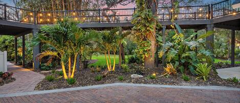 A garden with a wooden deck, surrounded by various plants and trees.