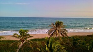 Plage, chaises longues, serviettes de plage