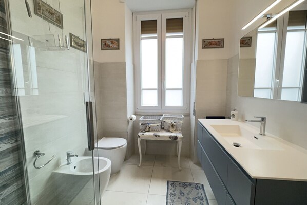 Shower, hair dryer, bidet, towels