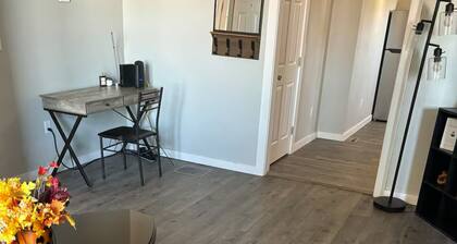 Central and Stylish 1-bedroom apartment with WiFi in Charming Oswego