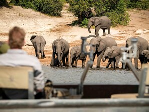 Sports facility - Chobe Princesses by Mantis (Kasika)