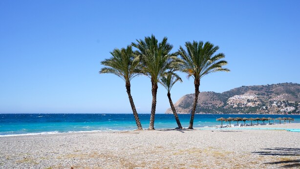 Ein Strand mit Palmen, einem klaren Himmel und einer entfernten Hügelkette.