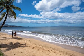 Ein Strand mit einer Palme, dem Meer und Booten in der Ferne.