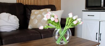 Charming 1 BR-1BH Studio with free WiFi and AC Easy Access to PBI & I-95