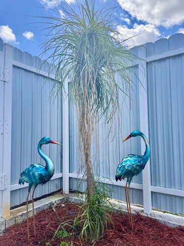 Charming 1 BR-1BH Studio with free WiFi and AC Easy Access to PBI &amp; I-95